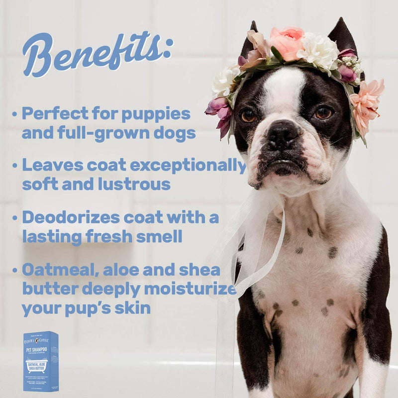 [Australia] - Dog Shampoo with Oatmeal and Aloe. Shea Butter for Smelly Dogs, Dry Itchy Skin, Puppy Shampoo, and Sensitive Skin by Oliver's Choice 