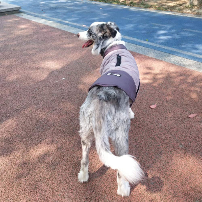 Winter Dog Coat Reversible Dog Jackets Bone Waterproof Reflective Cold Weather Pet Wearing for Small Medium Large Dogs (Grey, XS) Grey X-Small - PawsPlanet Australia