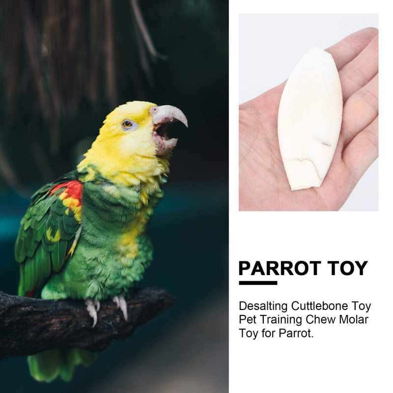 POPETPOP Bird Beak Stone-12PCs Parrot Beak Grinder Desalting Cuttlebone Toy Pet Training Chew Molar Toy for Parrot - PawsPlanet Australia