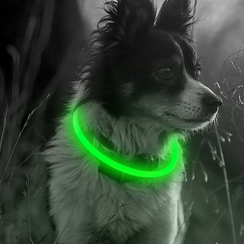 [Australia] - Clan-x USB Rechargeable LED Dog Collars Reflective Dog Collar, Light Up Dog Collars for Small Medium Large Dogs Green 