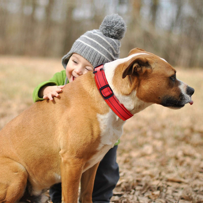 Reflective Dog Collar for Small Medium Large Dogs Durable Soft Dog Collar Padded Nylon Neoprene Adjustable Comfy Basic Dog Collar - Red - L L (43-49 cm,2.5cm) - PawsPlanet Australia