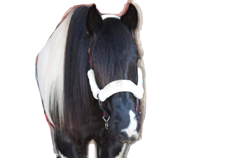 Luxury Padded Horse Headcollar Faux Fur Trim - PawsPlanet Australia