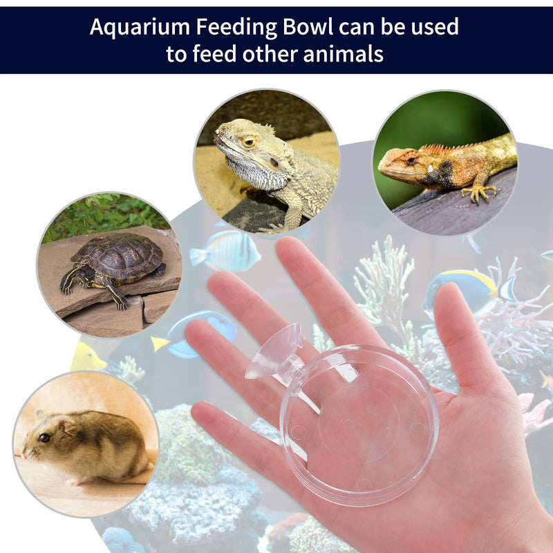 cobee Aquarium Feeding Bowl, 2 Pieces Fish Shrimp Feeding Dish Acrylic Clear Shrimp Feeding Tray Tank Feeding Bowls with Suction Food Water Bowl for Reptiles Shrimp Tropical Fish - PawsPlanet Australia