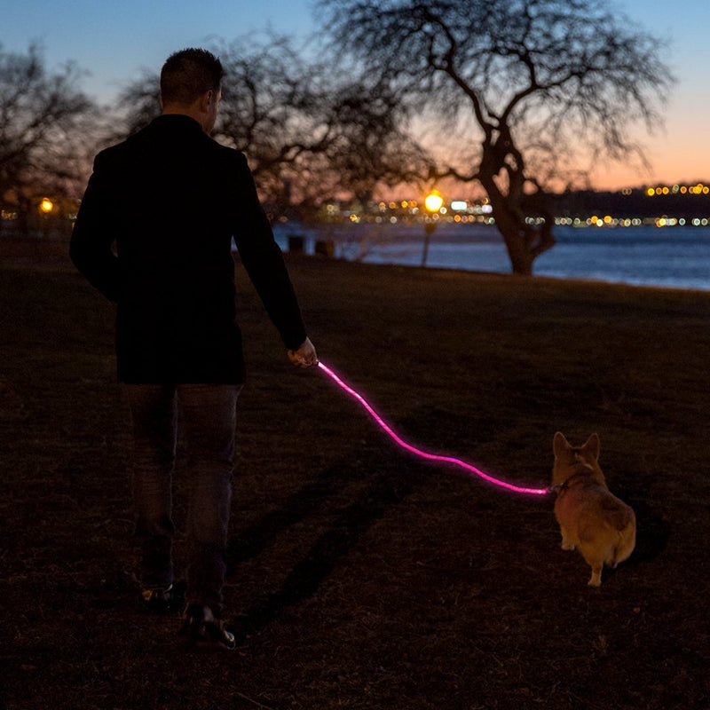 [Australia] - NiteyLeash - LED Glow in The Dark Pet Dog Leash Pink 
