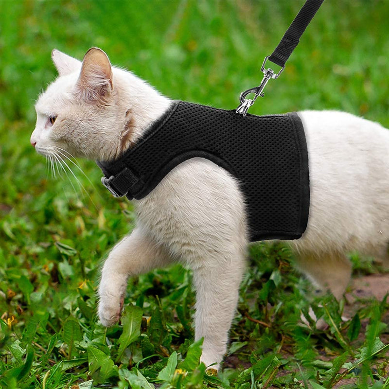 PUPTECK Soft Mesh Cat Vest Harness and Leash Set Puppy Padded Pet Harnesses Escape Proof for Cats Small Dogs Black - PawsPlanet Australia