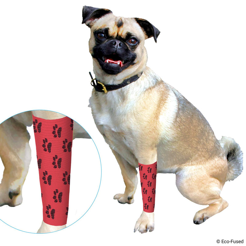 Self Adhering Bandage - Injury Wrap Tape for Dogs - Pack of 6 - Supports Muscles and Joints - Easy to Apply and Tear - Does not Stick to Hair - Elastic, Water Repellent, Breathable - Relieves Stress for Dogs: 6 pack - PawsPlanet Australia