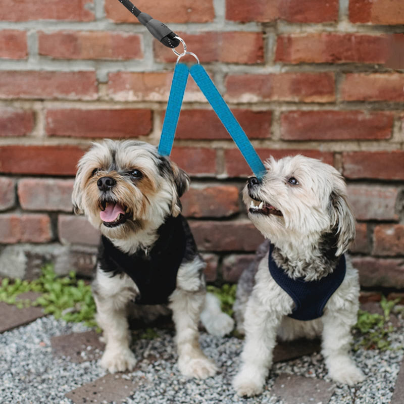 Dog Lead Double Lead for 2 Dogs, Dog Lead Double Lead for Small Dogs, Pet Trainer Lead No Tangle Double Dog Double Splitter Lead Walking Trainer Lead for Two Dogs (Blue) - PawsPlanet Australia