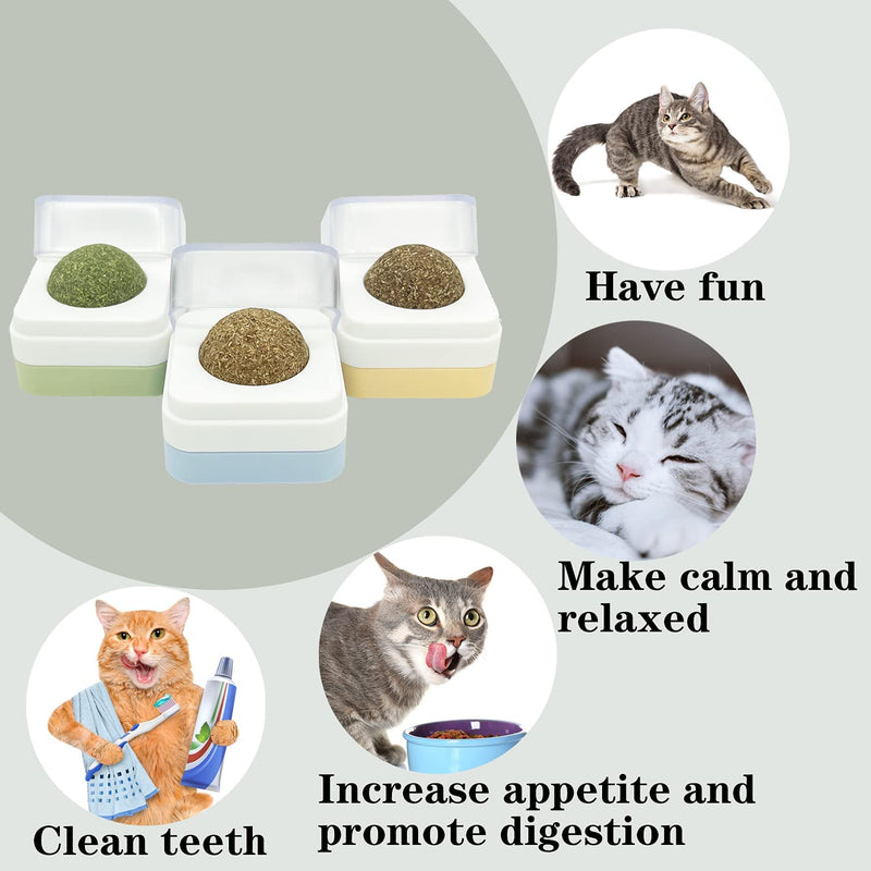 Gohgjyj 3 Pcs Catnip Toys,Removable Catnip Wall Balls,Silvervine Catnip Balls,Cat Licks an Edible Kitten Toy,Safe and Healthy Kitty Chew Toys,Teeth Cleaning Dental Cat Ball Toy - PawsPlanet Australia