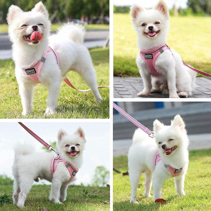 Suredoo Pet Reflective Soft Mesh Dog Harness and Leash Set, No Pull Breathable Padded Step in Vest Harness Leash Set, Comfort Training Walking for Small Dogs Cats Puppies (S, Pink) S (Chest 29-32cm) - PawsPlanet Australia
