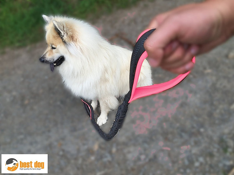 best dog Premium dog leash for large dogs (pink-grey) pink-grey - PawsPlanet Australia