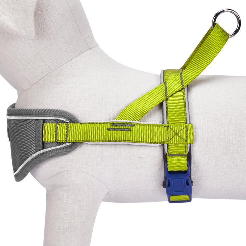 [Australia] - Blueberry Pet 8 Colors Soft & Comfortable 3M Reflective Strips Nylon Neoprene Padded Training Dog Harness (24.5" - 29.5") Chest Girth Citrus Lime 