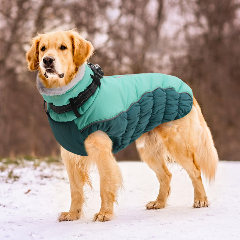 ASENKU Warm Dog Coat, Winter Dog Jacket with Harness, Waterproof Dog Coat with Belly Protection, Dog Clothing Outfit for Small Large Dogs, Warm Fleece Dog Coat, Blue, S - PawsPlanet Australia