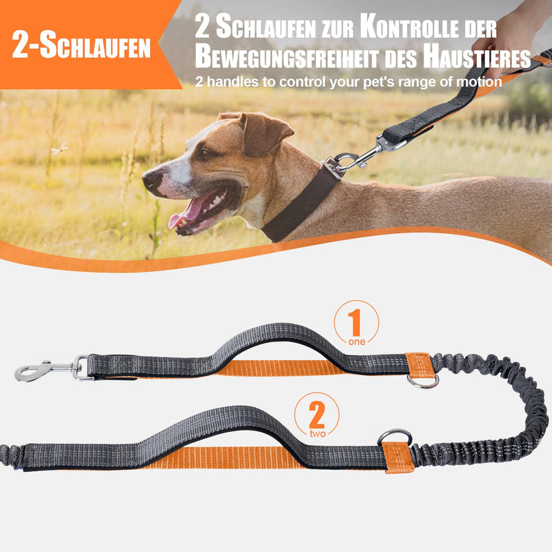 Snocyo jogging leash for dogs, jogging dog leash for medium and large dogs, elastic and reflective dog leash, retractable running leash with double handle and waist belt for one dog, gray and orange - PawsPlanet Australia