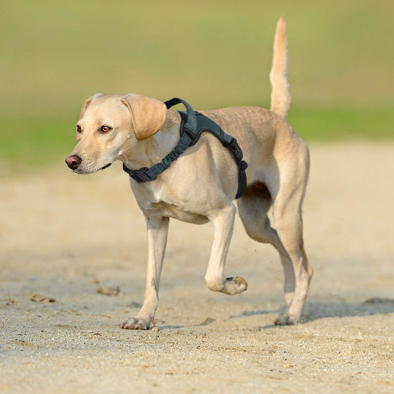 [Australia] - rabbitgoo Dog Harness, Dog Halter Harness with Soft Padded Straps & Shock-Absorbing Bungee Straps, Adjustable Dog Vest Harness with Padded Handle, Reflective Dog Walking Harness for Large, Medium Dogs 