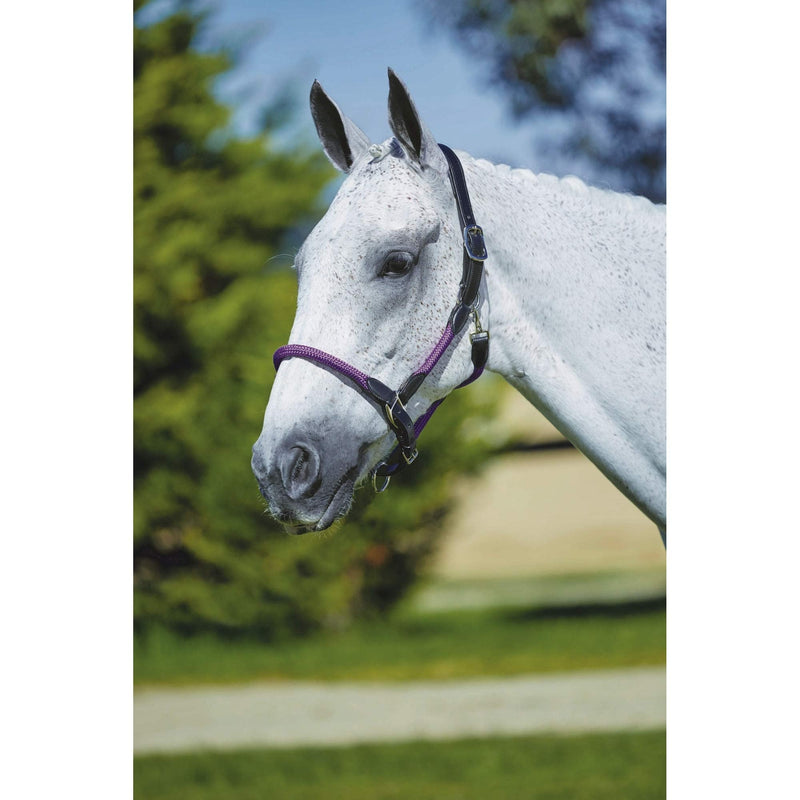 Kincade Leather Rope Headcollar - Hunter Green/Brown 2m - PawsPlanet Australia