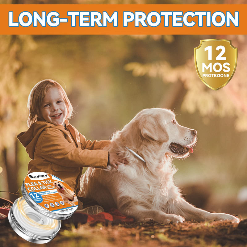 Flea and Tick Collar for Dogs, Adjustable Flea Treatment for Dogs, 12 Months Protection Enhanced with Natural Essential Oils, Hypoallergenic Flea Collar Dogs for Small, Medium, Large Puppy(1PCS) 1pack - PawsPlanet Australia