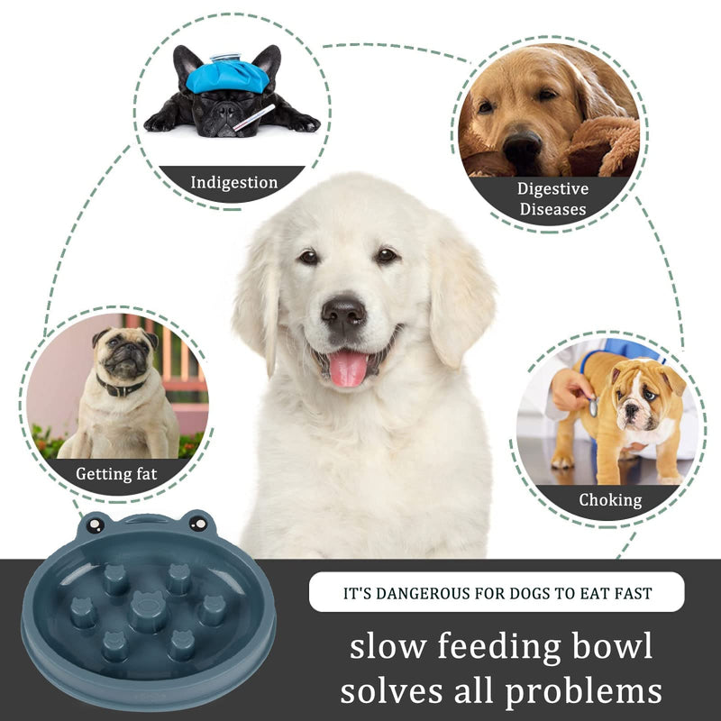 Slow Feeder Dog Bowls,Dog Food Bowls Slow Feeder Cat Bowl Anti-Gulping Pet Slower Food Feeding Dishes Non Slip Puzzle Bowl for Small Medium Breed Dogs Blue - PawsPlanet Australia
