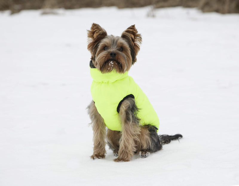 Maxi-Pet Charmonix 80660 Quilted Coat Medium 40 cm Grey/Neon/Yellow - PawsPlanet Australia