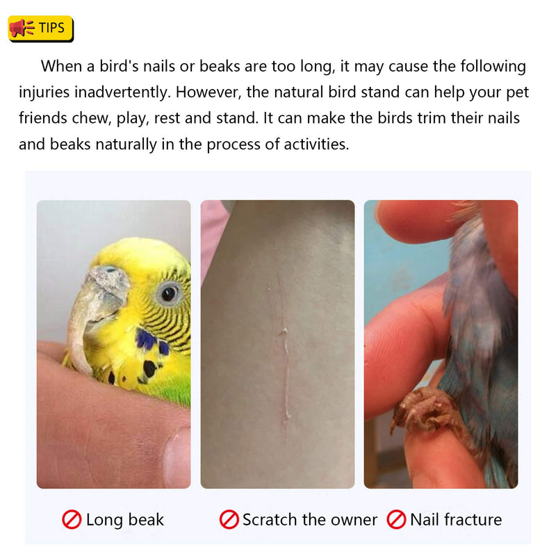 Hamiledyi Parakeet Perch,Bird Natural Wood Stand,Parrot Cage Top Wooden Branches for Standing,Toys for Small Medium Parrots Conure Budgie Lovebirds Style-A - PawsPlanet Australia