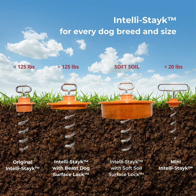 IntelliLeash Intelli-Stayk with Special Surface-Lock Technology to Prevent Pulling Out and Bending - PawsPlanet Australia