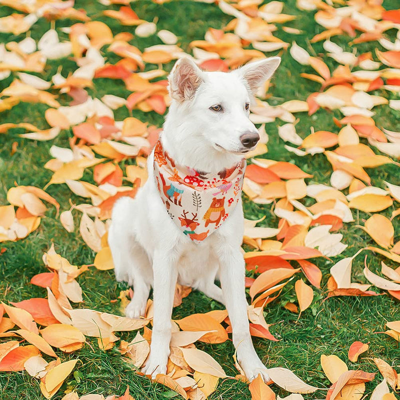 PUPTECK Autumn Day Dog Bandanas - 4PCS, Soft, Classic Plaid, Flower and Small Animal Pattern, Cute, Washbale, Adjustable - PawsPlanet Australia