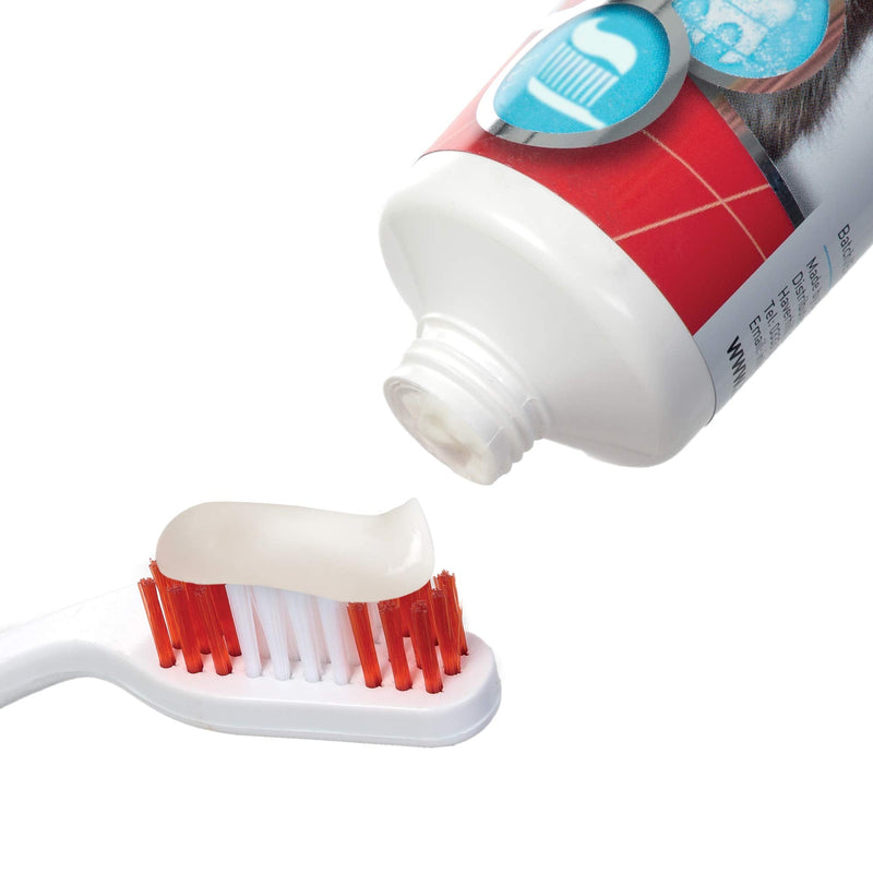 Beaphar - Dog Toothpaste (100 g) with Toothbrush - PawsPlanet Australia