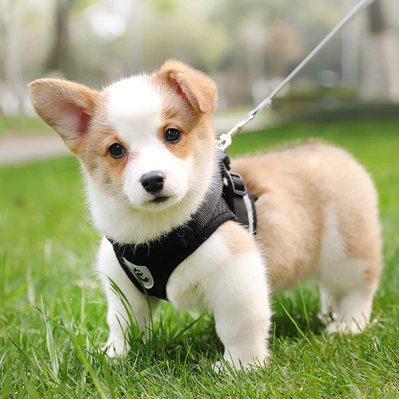 [Australia] - YujueShop Cat Harness and Leash Pet Vest Small Dog Harness Escape Proof Reflective Re-Adjustable Walking Soft Mesh with Pet Leash for Cats Puppies Pets XS 21-26.5cm/8.3-10.4in Black 