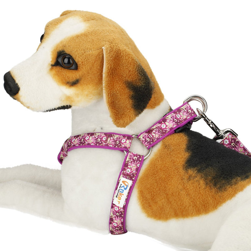 [Australia] - Rnker Step-in Harnesses, no Pull, Flowers Pattern hot Stamping, Neoprene Padded, Adjustable Walking, Training Dog Harness M (19.5-25.5" Chest Girth) Purple 