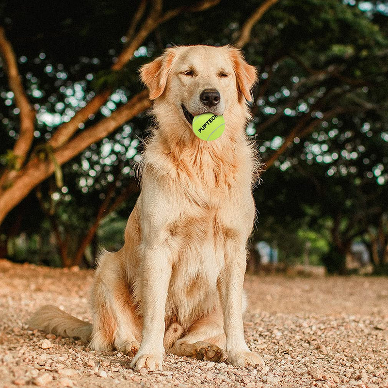 PUPTECK Squeaky Tennis Ball Dog Toys- 12 PCS Training Balls Bright Yellow Chew Toys for Puppies, Small and Medium Dogs with A Mesh Bag - PawsPlanet Australia