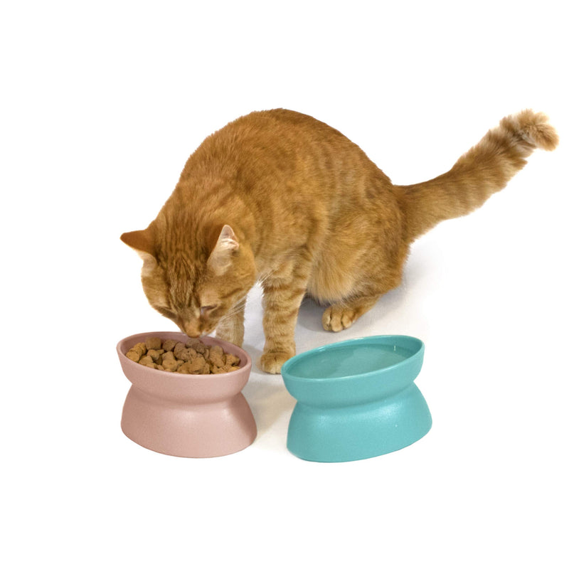 [Australia] - Kitty City Raised Cat Food Bowl Collection, Stress Free Pet Feeder and Waterer 2 Bowls/Pastel 