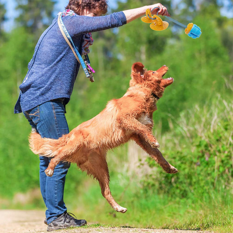 PUPTECK Durable Dog Chew Toy for Small Medium Dogs Puppies, Suction Cup Dog Toy to Floor Wall, Interactive Tug of War Toy - PawsPlanet Australia