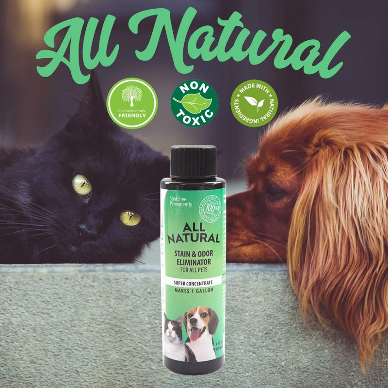 [Australia] - Stink Free All Natural Stain & Urine Odor Eliminator & Remover for Cat & Dog, Makes 1 Gallon of Solution, Microbial & Enzyme Based Pee Cleaner Destroyer for Carpets, Rugs, Mattress, Litter Box, Ect. 