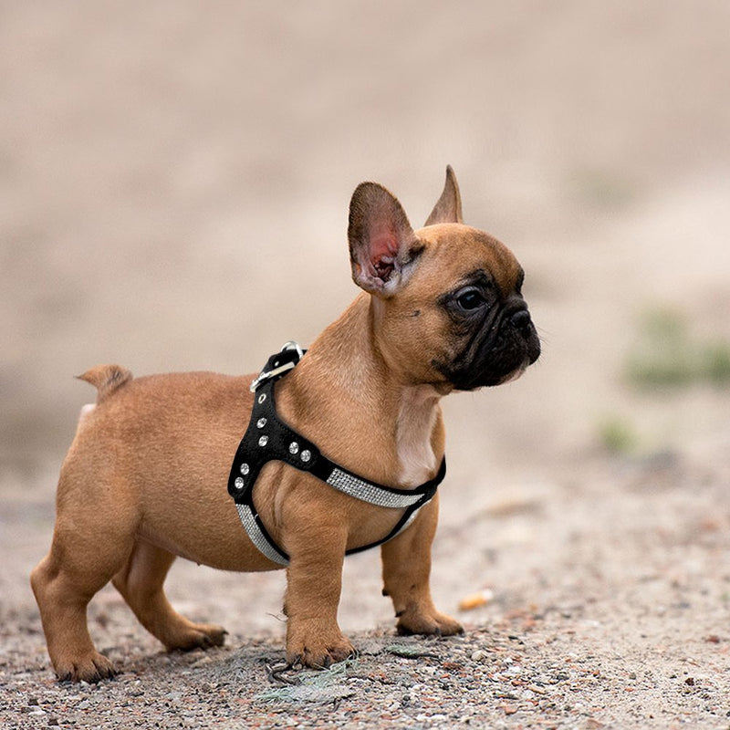 Beirui Soft Suede Rhinestone Leather Dog Harness Leash Set Cat Puppy Sparkly Crystal Vest & 4 ft Lead for Small Medium Cats Pets Chihuahua Poodle Shih Tzu Chest:13-15.5" Black - PawsPlanet Australia