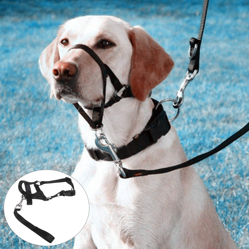 OTOTEC Adjustable Dog Muzzle Halter with Buckle Stops Dog Pulling - PawsPlanet Australia