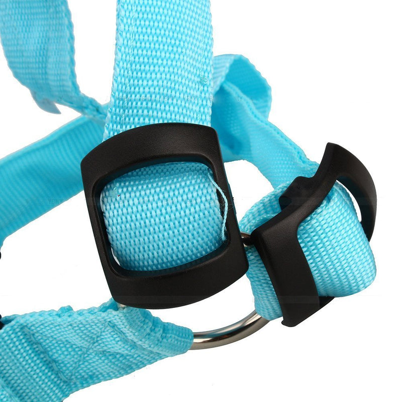 [Australia] - Yosoo LED Flashing Dog Walking Belt Harness Leash Strong Nylon Webbing Tether Pet Safety Collar Comfortable Strap Vest for Large Medium Dog Blue 