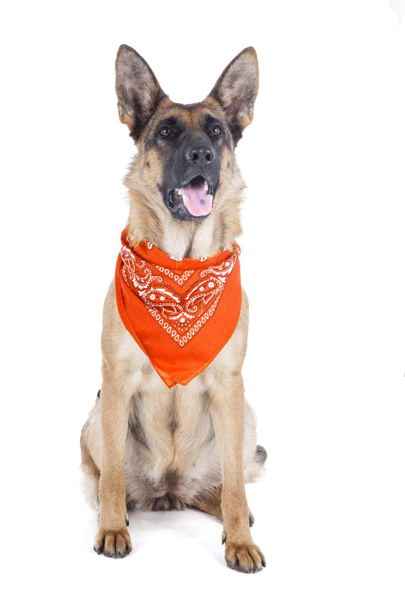 [Australia] - Balec Paisley Polyester Pets 6 Pack Dogs Bandana Triangle Shape - Oversized Mix Colors 