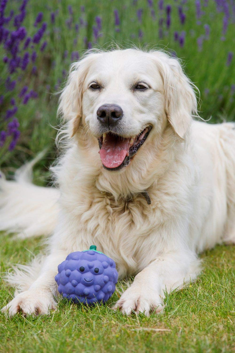 Petface Latex Blackberry Soft Chew Dog Toy, Large - PawsPlanet Australia