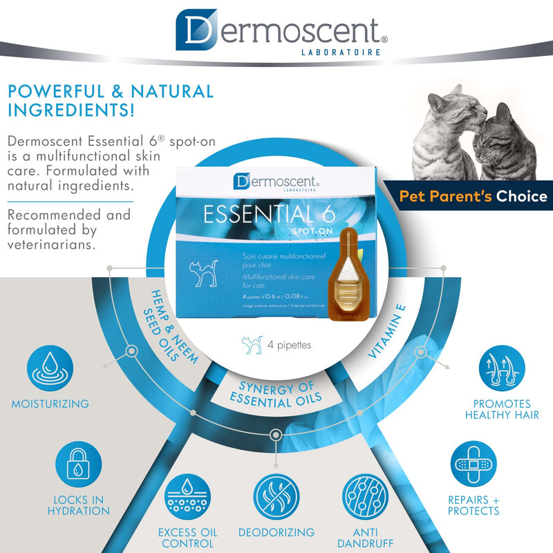 Dermoscent Essential 6 spot-on for cats - skin care for dandruff, dry or oily skin & hair loss - PawsPlanet Australia