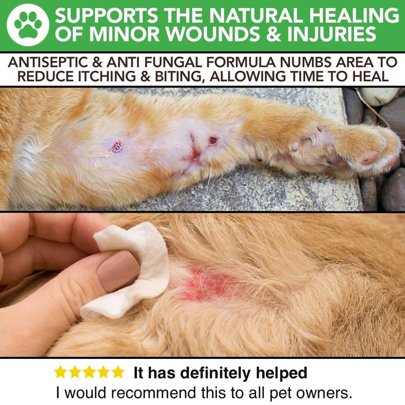 All Natural Itchy Skin & Minor Wound Care For Dogs & Cats | Quickly Calm, Sooth & Reduce Itching, Scratching & Biting | Healthy Lick Safe Anti-Fungal, Antiseptic, Anti Itch Skin Care Spray For Pets - PawsPlanet Australia
