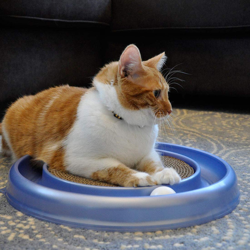 [Australia] - Bergan Turbo Scratcher Replacement Pads, 2 Pack 