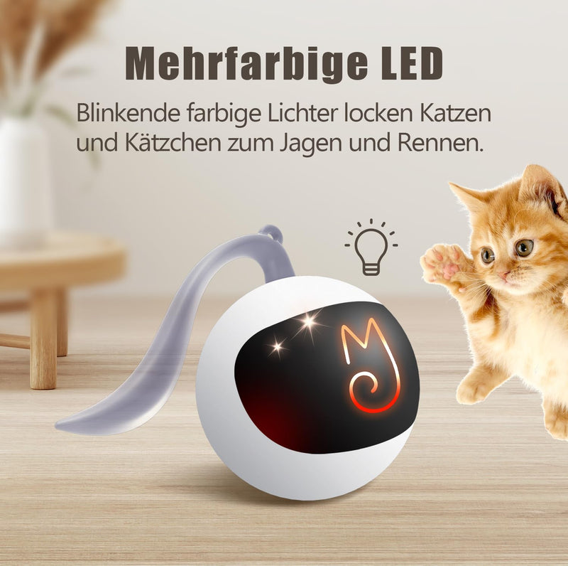 Migipaws Cat Toy, Electric Moving Ball, Plush Mice and Feathers as Additional Toys, DIY N in 1 Pets Intelligent Automatic Teaser, USB Rechargeable (White) White - PawsPlanet Australia