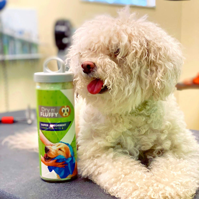 [Australia] - Dry n Fluffy Super Absorbent Towel for Pets Green 