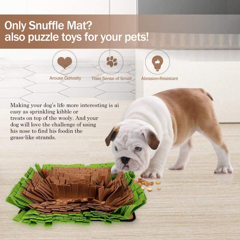 Companet Pet Dog Feeding Mat, Snuffle Mat for Dogs Interactive Pets Puzzle Toys,Dog Smell Nosework Training for Encourages Natural Foraging Skills,Durable and Machine Washable Pet Activity Play Mat Green - PawsPlanet Australia