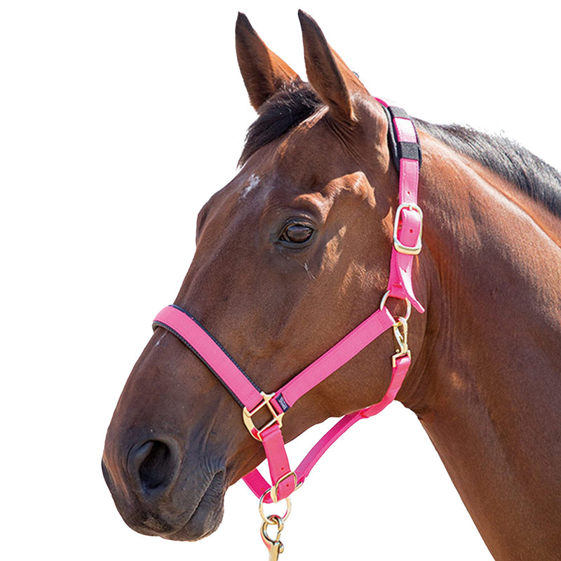 Topaz Nylon Head Collar Red Small Pony - PawsPlanet Australia