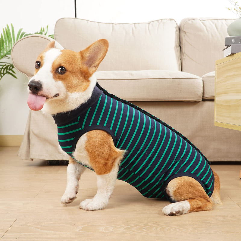 Dog Onesie Breathable Surgical Abdominal Wound Skin Protection Anti Leak Cone E-Collar Alternative Post Surgery L (Pack of 1) Green Stripes - PawsPlanet Australia