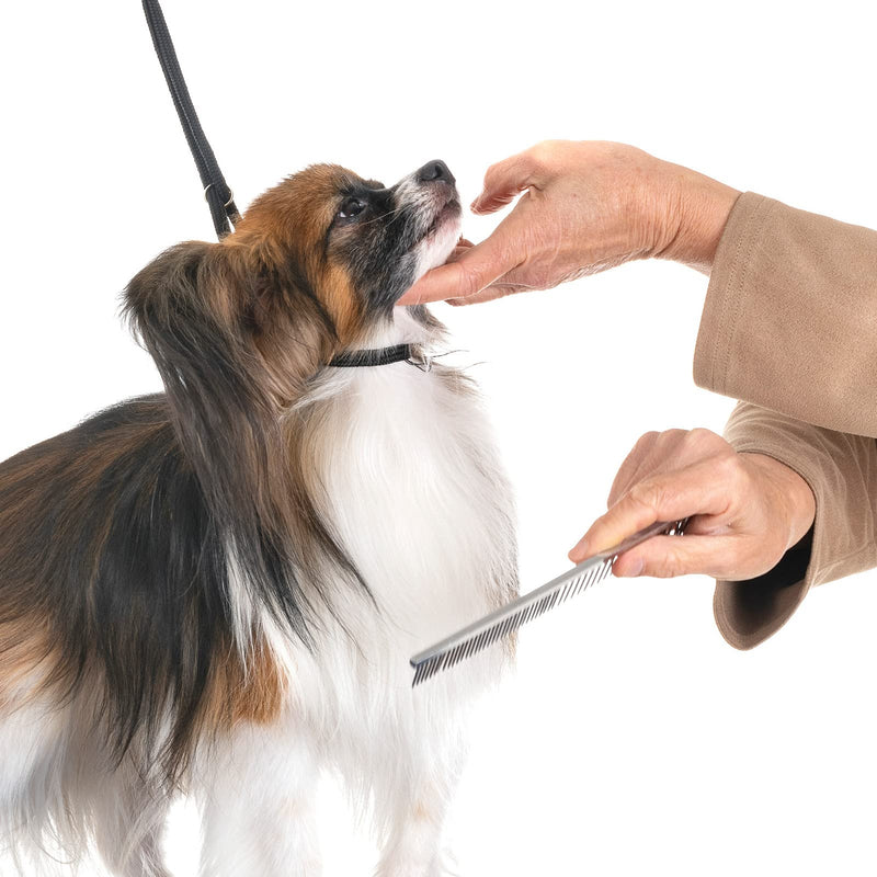 Stainless Steel Pet Comb Pet Grooming Comb Rounded Teeth Dog Comb for Large, Medium and Small Dogs and Cats with Tangled Short/Long Hair (19 x 3.5 cm) - PawsPlanet Australia