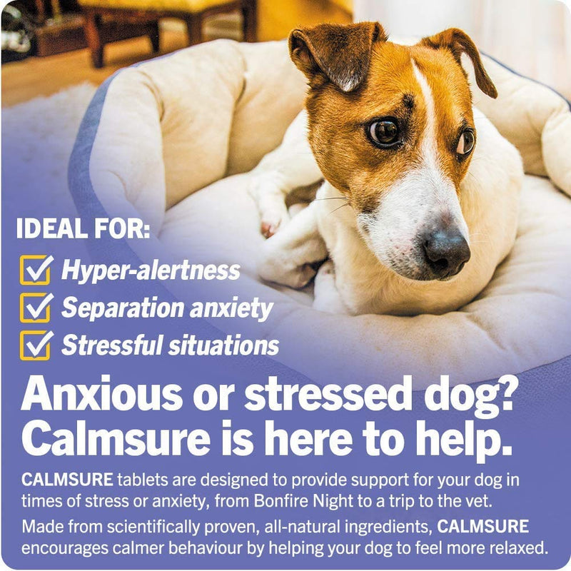 Vetwell Scientific Calmsure - 130 Tablets, Calming Supplement for Dogs who are Nervous or Stressed | Aids Dog Anxiety & Supports Calm Behaviour in all Breeds | Triple Action Natural Formula - PawsPlanet Australia