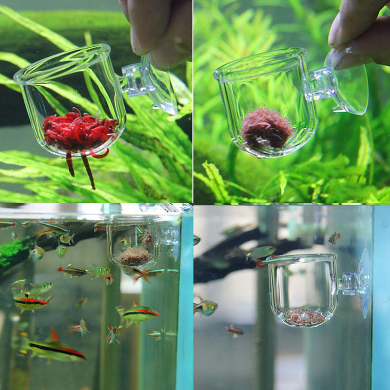 Ailindany Aquarium Glass Feeding Cone Cup Plant Cup Brine Shrimp Live Red Worm Fish Feeder for Aquariums with Suction - PawsPlanet Australia