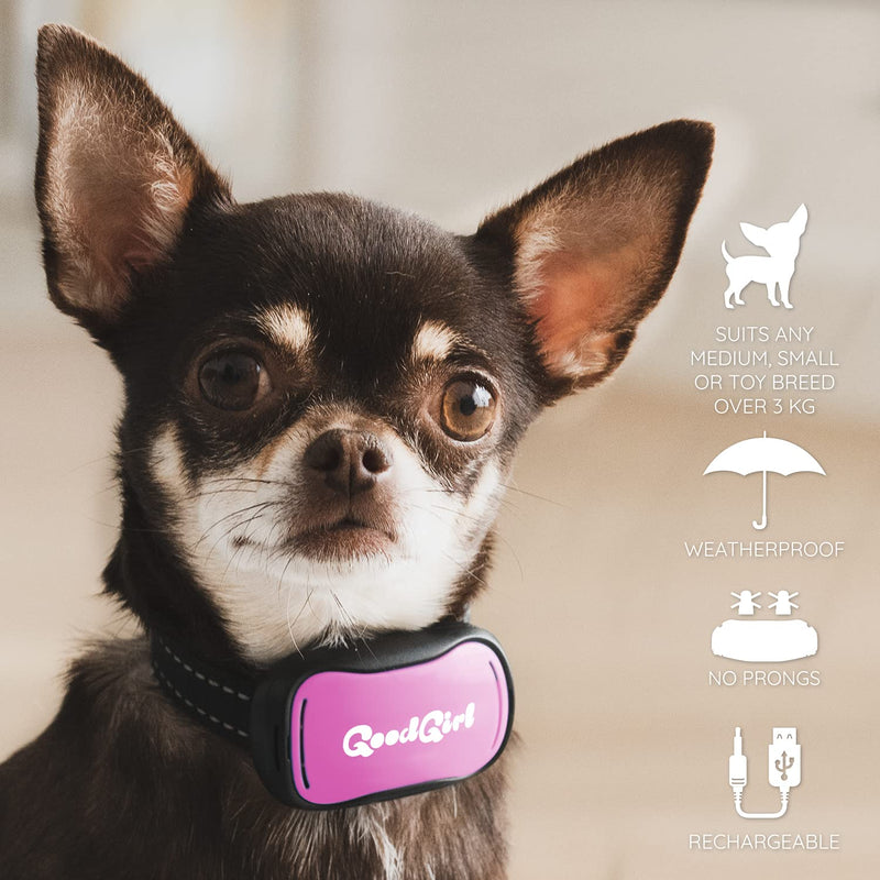 GoodBoy Small Dog Bark Collar Rechargeable And Weatherproof Vibrating Bark Deterrent for Small And Medium Dogs 3+kg (Pink) - PawsPlanet Australia