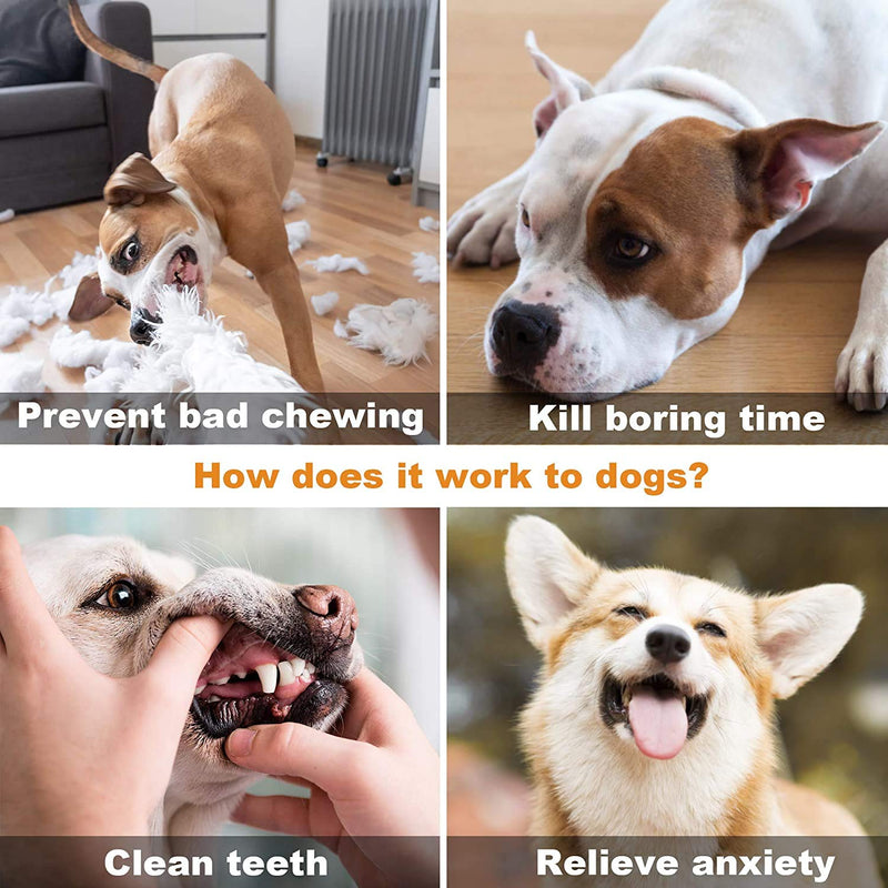 Dog Chew Toys for Aggressive Chewer，Interactive Tug of War Dog Chew Toy Rope Puzzle Toothbrush with Strong Rope Powerful Suction Cup, Molar Bite Squeaky Toys Ball with Teeth Cleaning & Food Dispensing - PawsPlanet Australia
